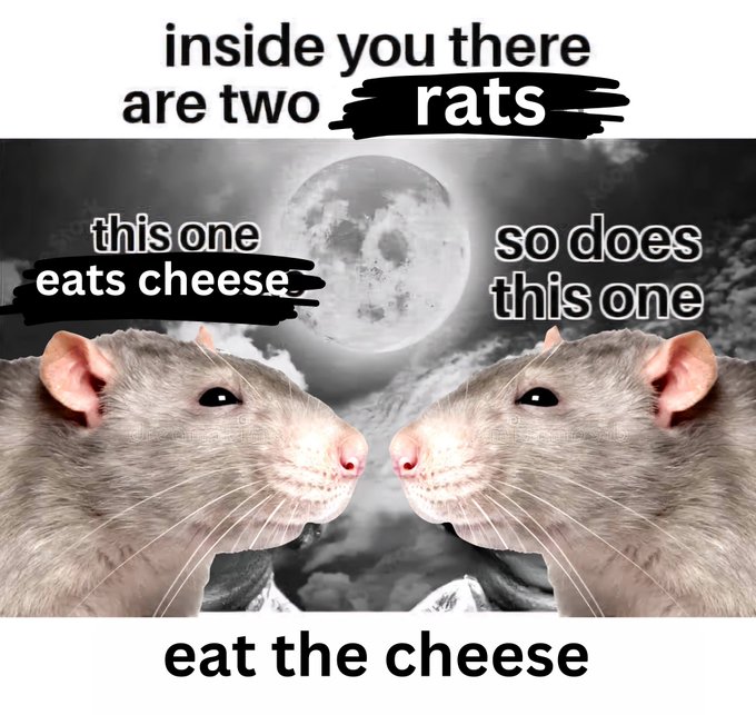 2rats